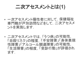 二次アセスメントとは(1)